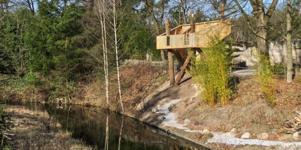 Foto: Apenheul opent seizoen met nieuwe attracties