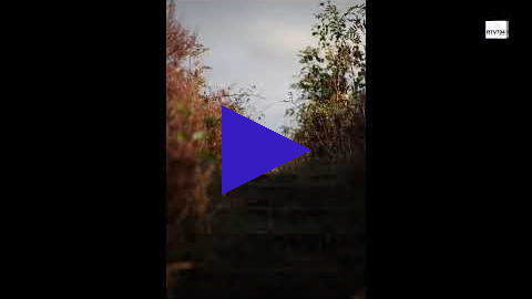 Link vanuit het best verborgen mooiste plekje op de Veluwe 8 januari 2023