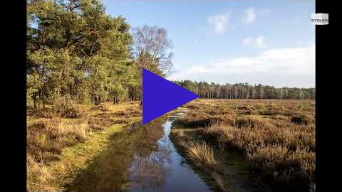 Link 15 januari 2023